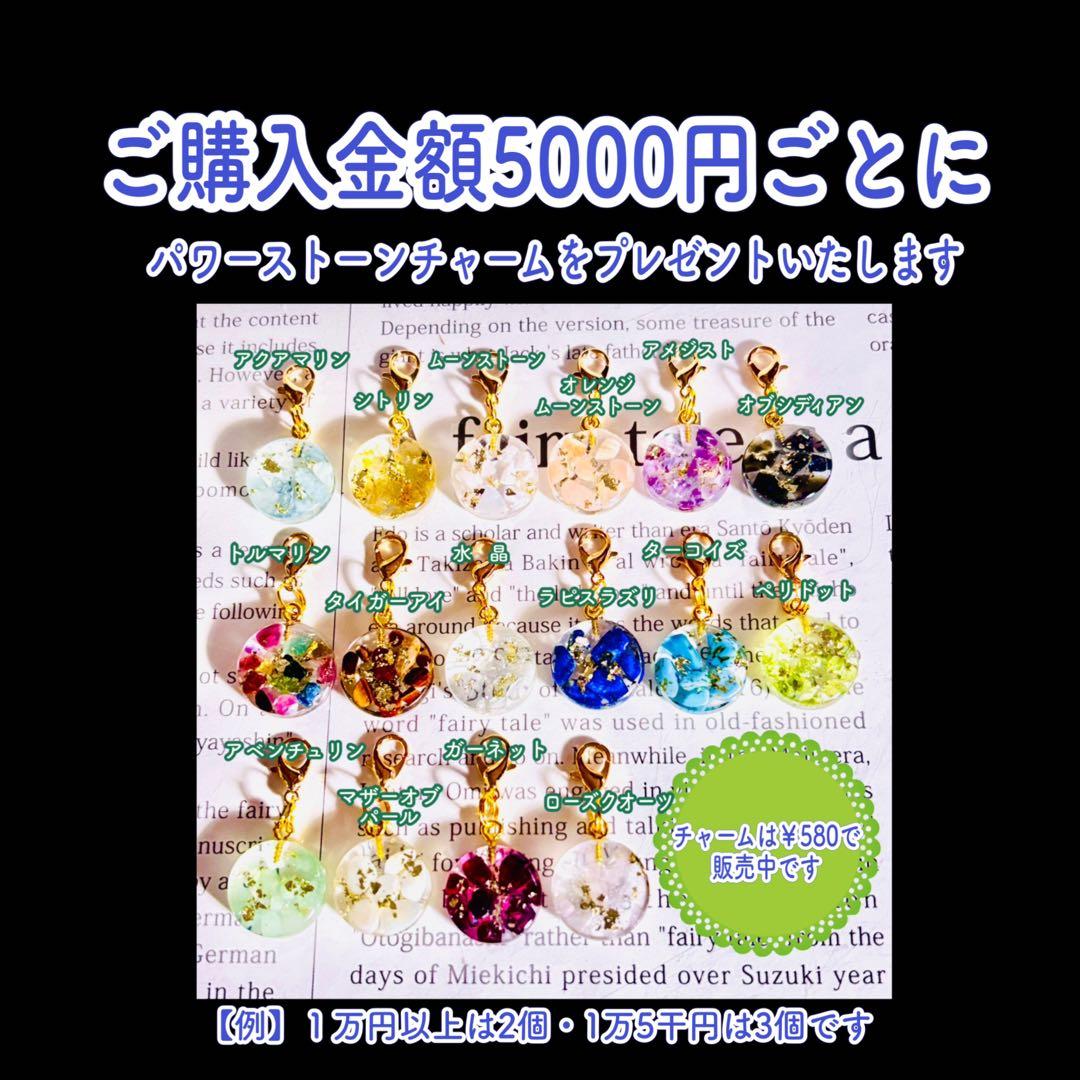 さおりんさまオーダー＊白蛇抜け殻入り＊浄化プレート＊２点