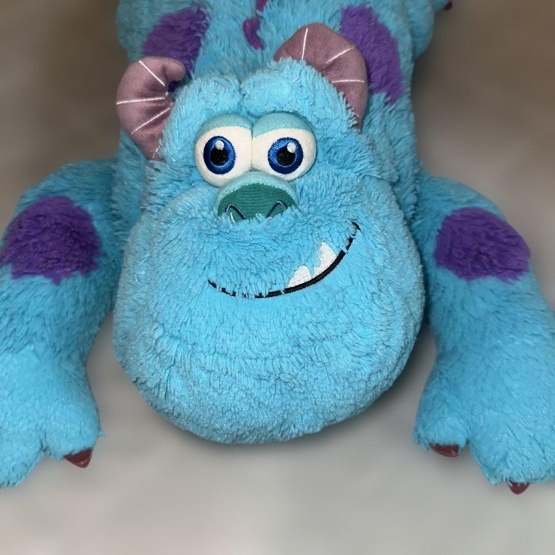 僕の相棒サリー。