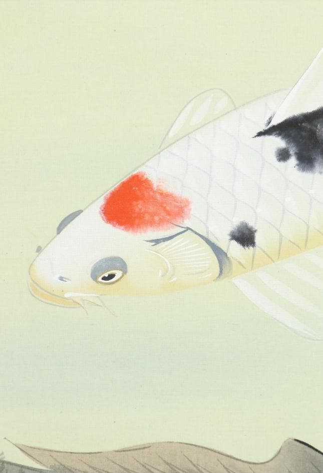 【真作】掛軸 八木正風『錦鯉 遊鯉』日本画 絹本 肉筆 共箱付 掛け軸 e574
