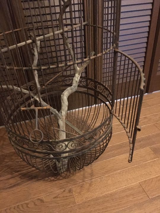 ヴィンテージ 特大 アイアン バードゲージ 鳥かご