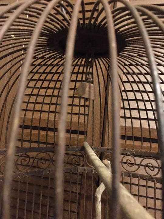 ヴィンテージ 特大 アイアン バードゲージ 鳥かご