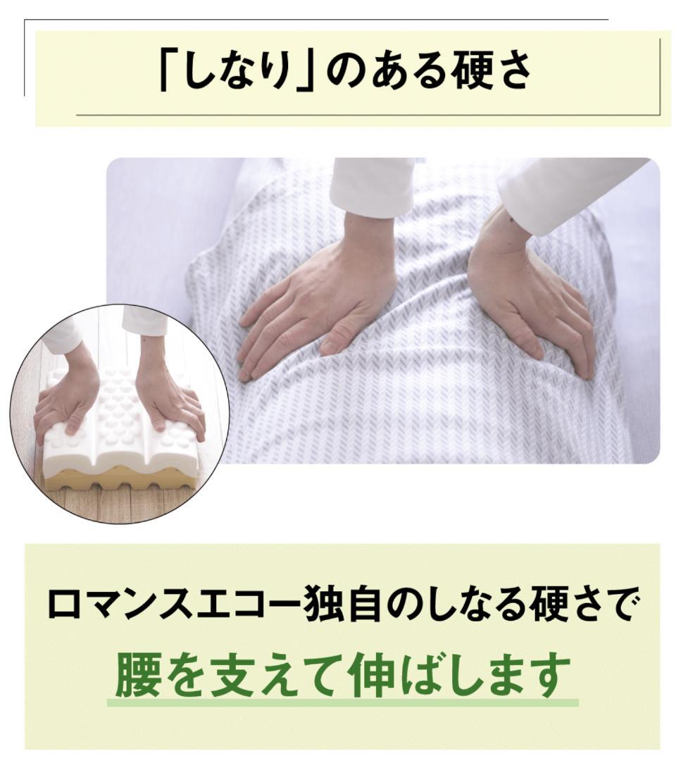 【希少ダブル】ロマンスエコー 敷布団 マットレス｜硬め・腰痛対策【送料込】