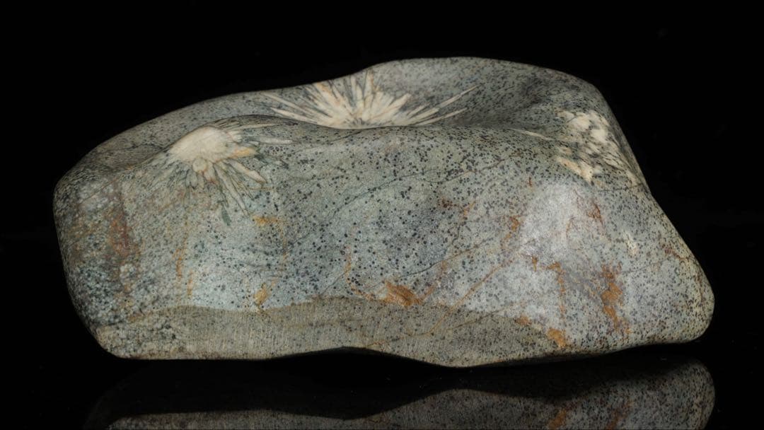 菊花石 紋石 台座付 1.7kg 鑑賞石 原石 自然石 美石 水石 盆石 飾石