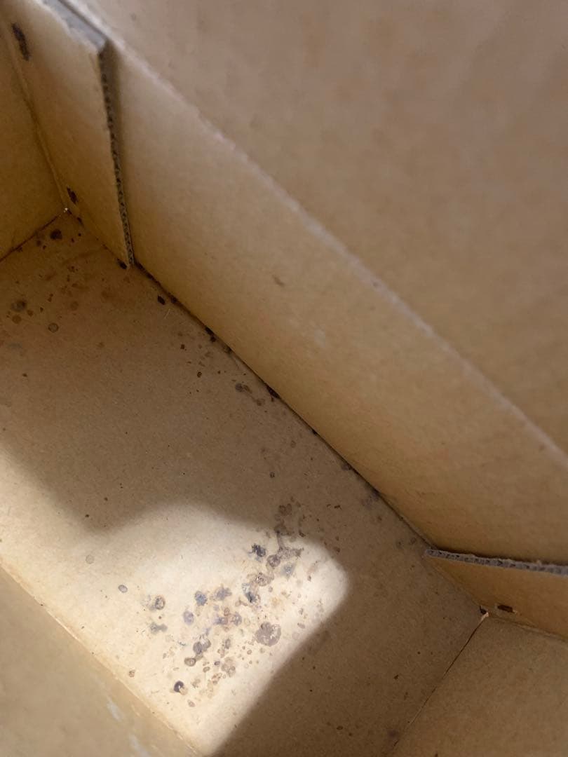 十二支　干支　いのしし以外の干支　木目込み