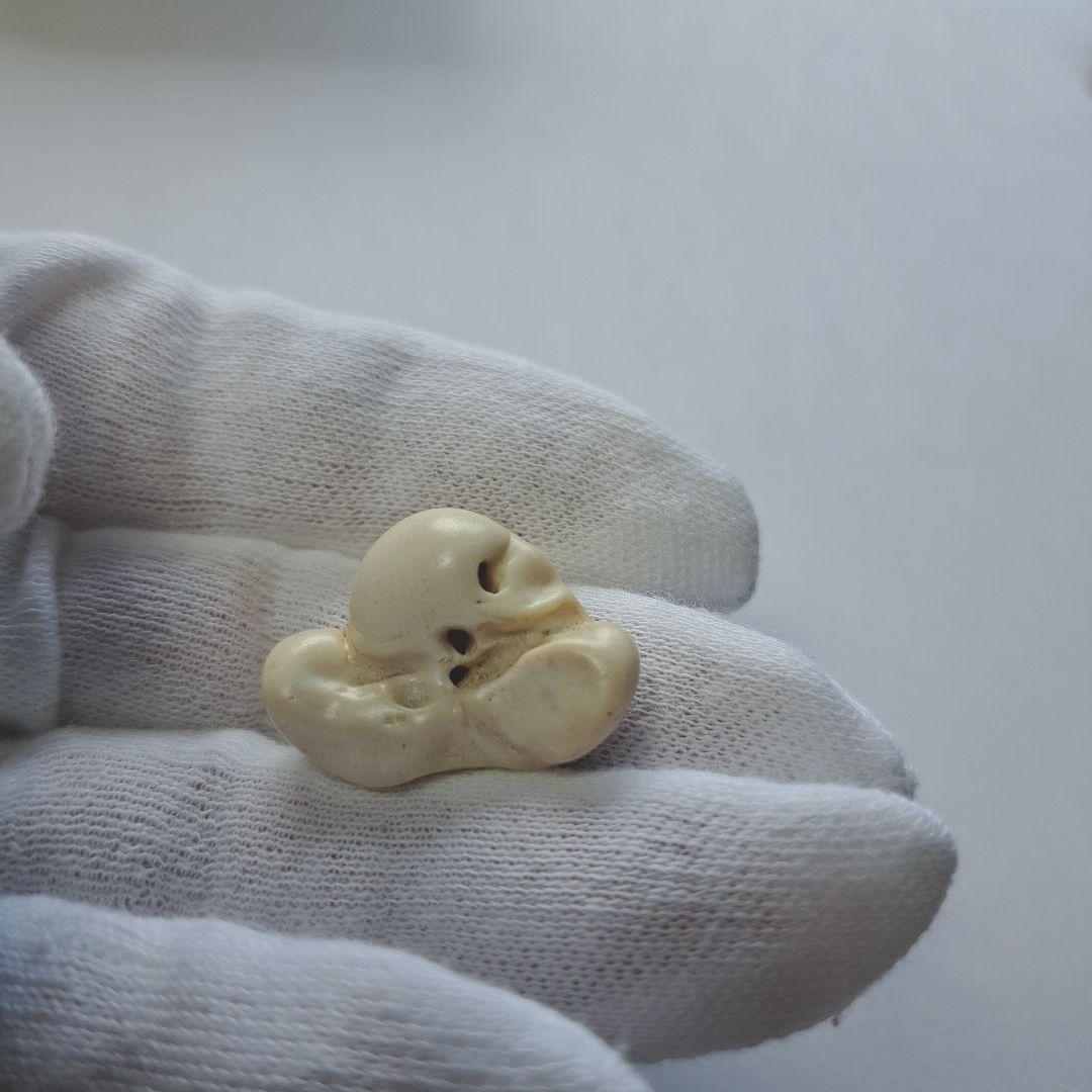イルカの耳骨【大きさ2.6㎝】 - メルカリ