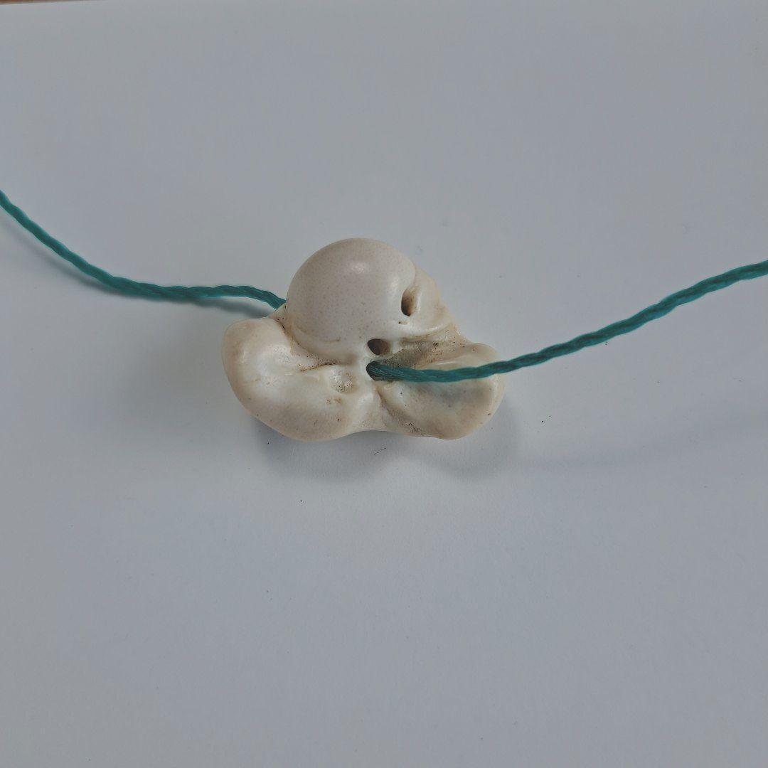 イルカの耳骨【大きさ2.6㎝】 - メルカリ
