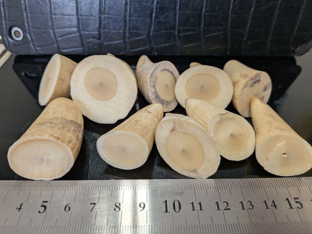 マッコウ鯨歯　本物　歯先大10個231グラム