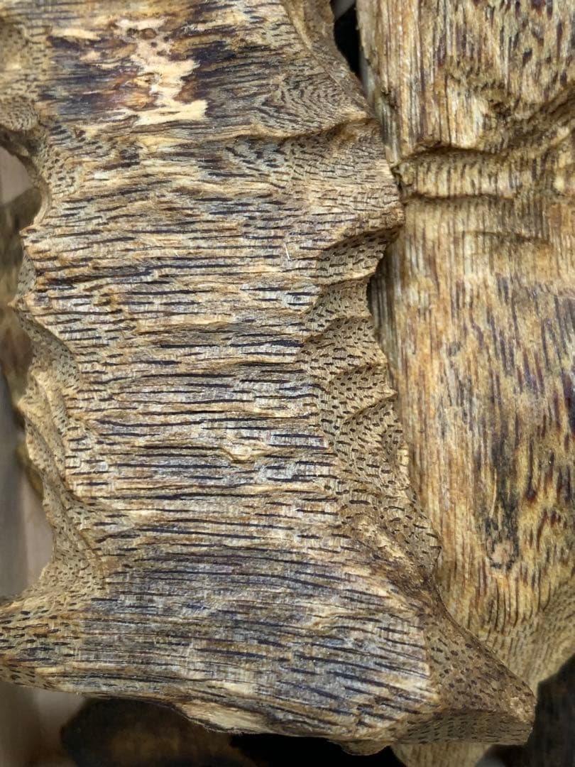 極上白伽羅 沈香 香木 重さ:50g 限定価格