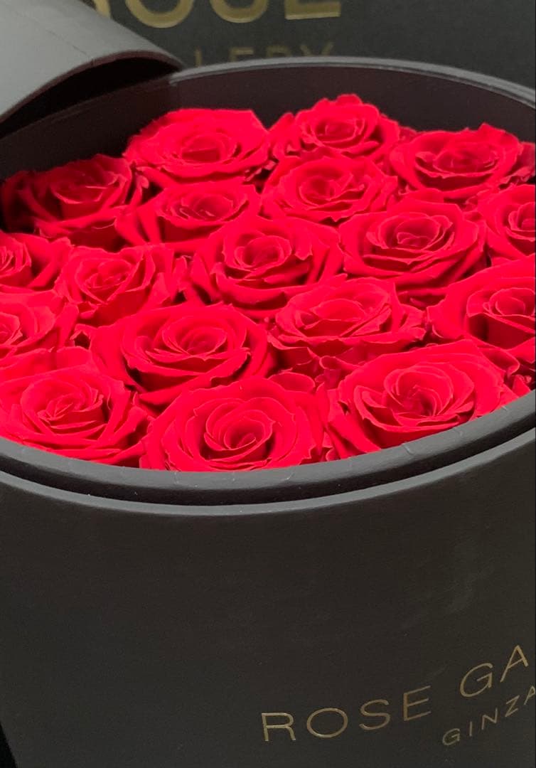 ROSE GALLERY GINZA アンダーザローズ(M-N18)