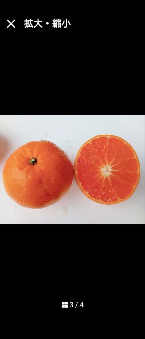 nicoページ！「みはや３年生」と「せとか３年生」苗木２本セット販売品！