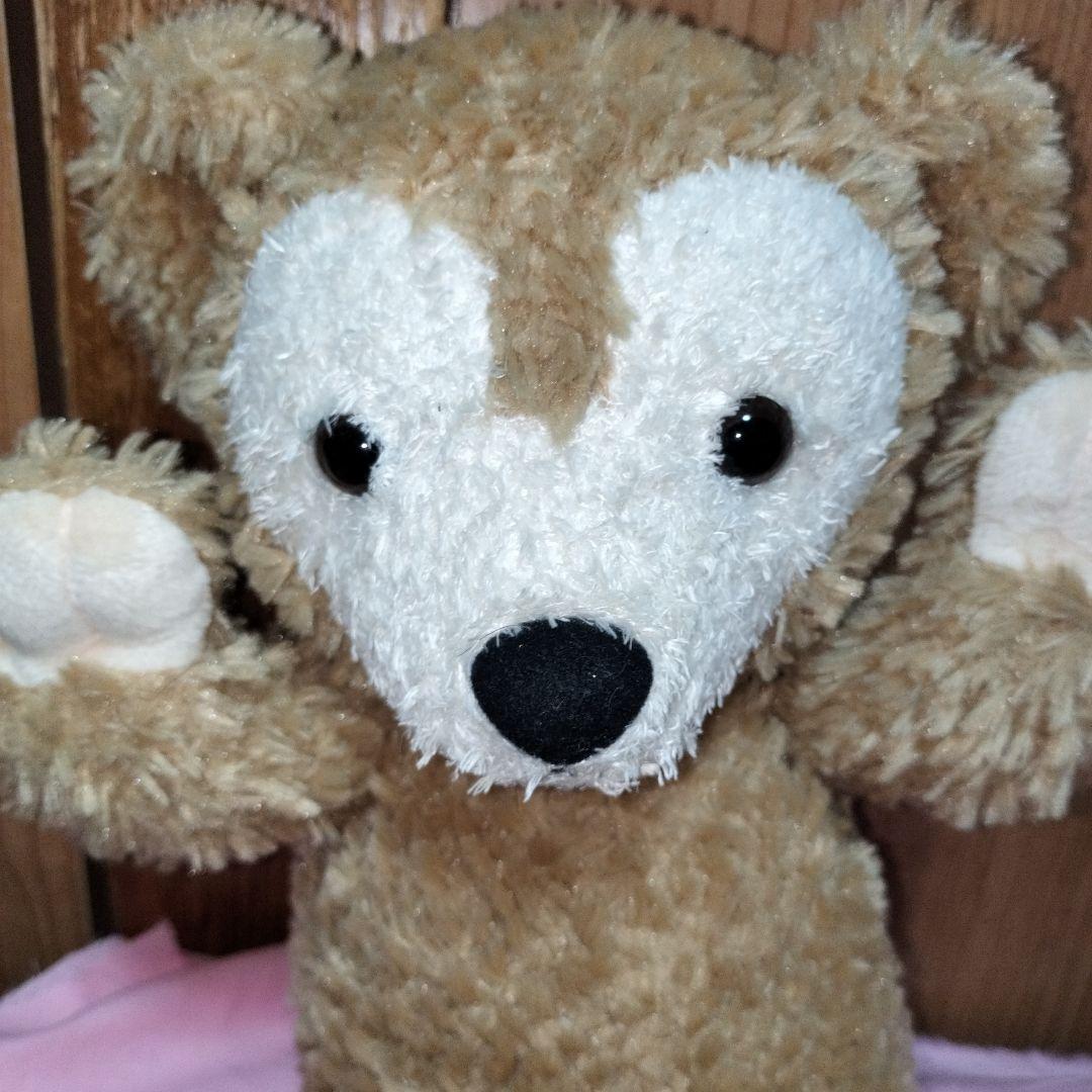 トイスケルトン入り　ダッフィー　シェリーメイ　Sサイズ　ぬいぐるみ