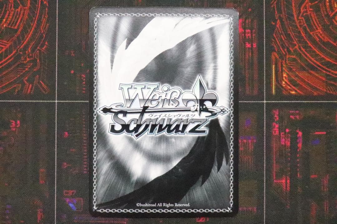 ふわもこ夢心地 望月杏奈 SSP サイン 44-MY0921-12C