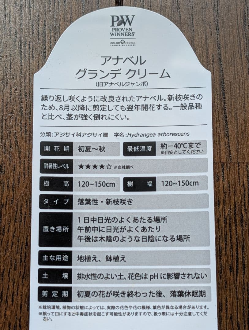 ✤ アナベル グランデクリーム ✤ 挿し穂 3本 ⚘˖* ネコポス発送 ⚘˖*