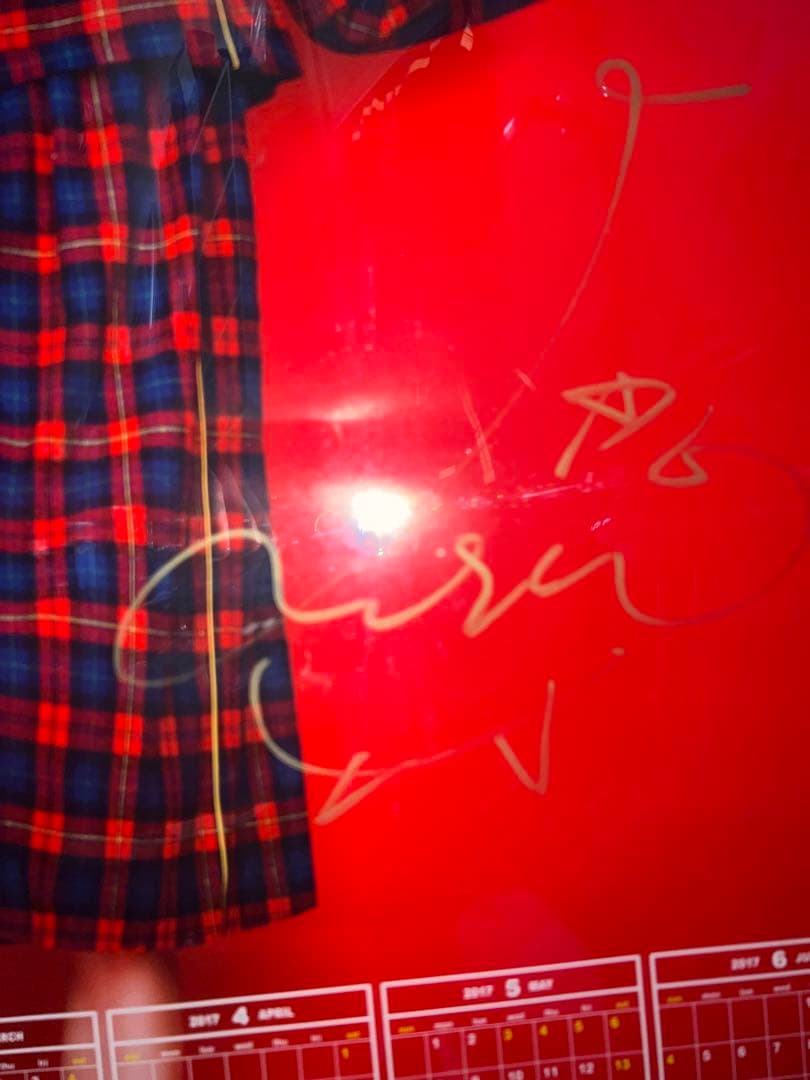 LiSA サイン入りポスター ポッキーカレンダー2017 - メルカリ