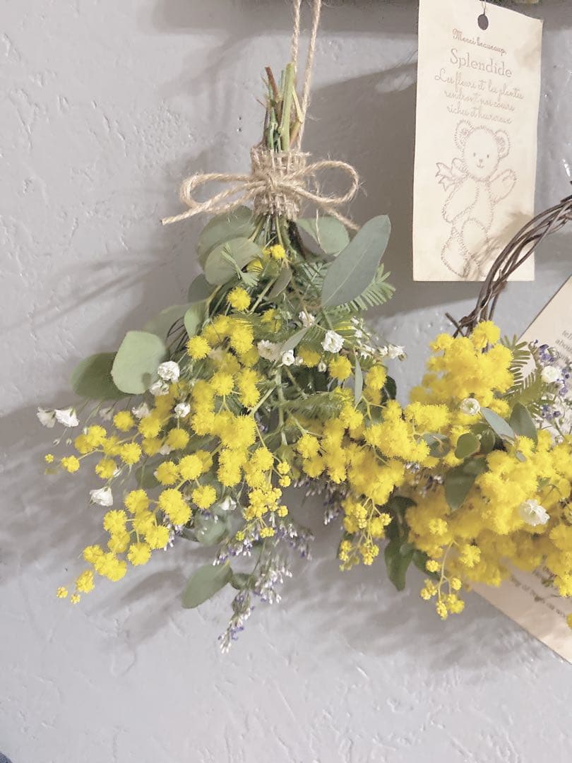 ミモザドライフラワー