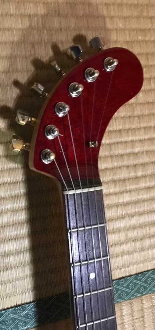 フェルナンデス　zo-3