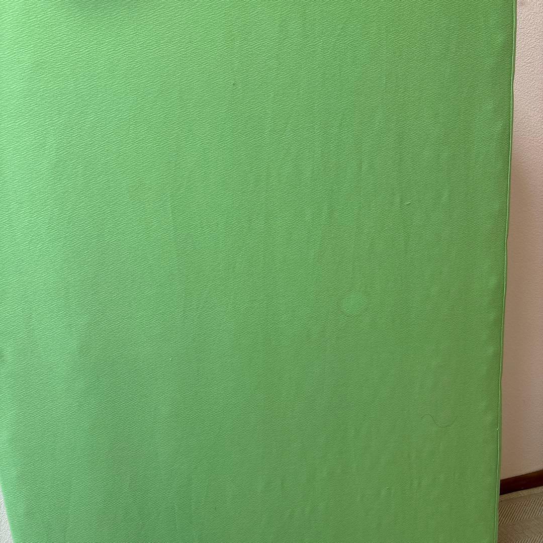 ヘルスウェーブ すややか デラックス D.C.version