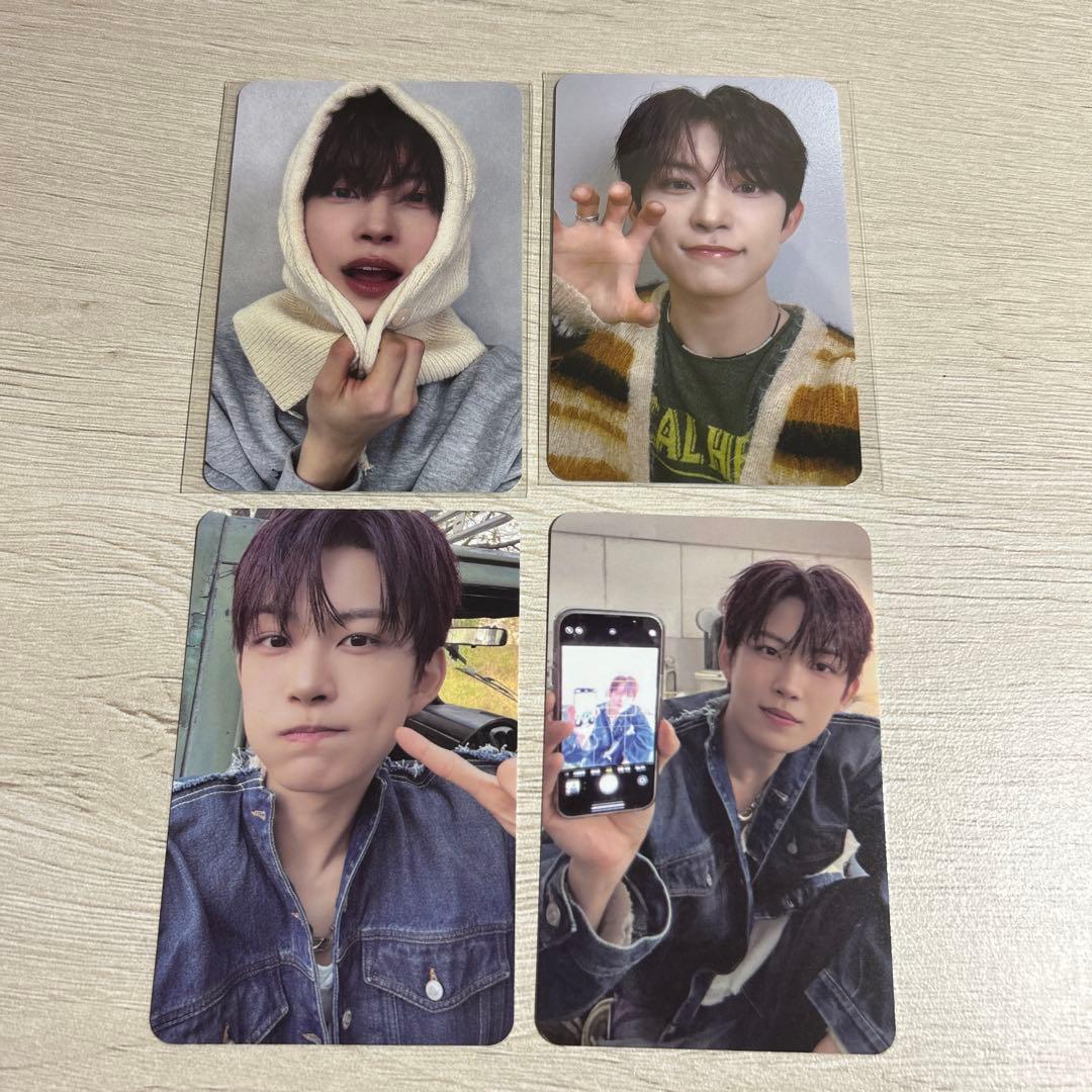 ALD1 ショケ ショーケース ラキドロ ゴヌ トレカ - メルカリ