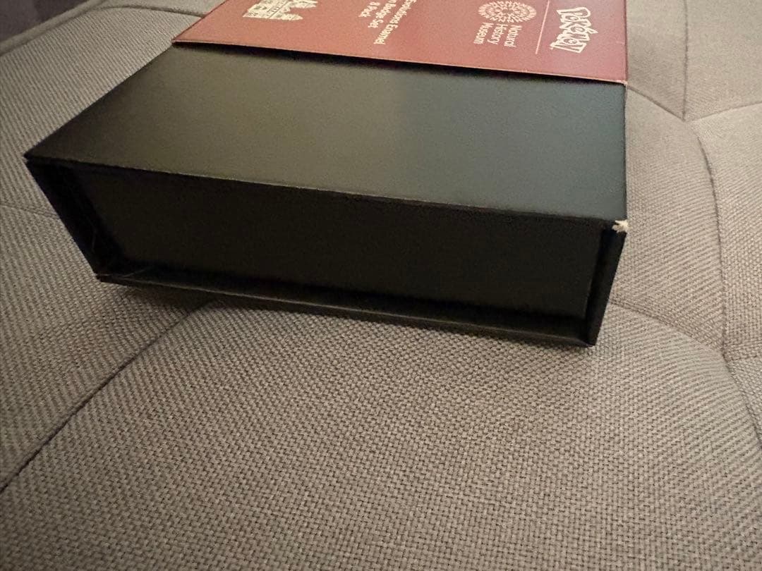 ポケモン イーブイフレンズ ピンバッジコレクション ロンドン自然史