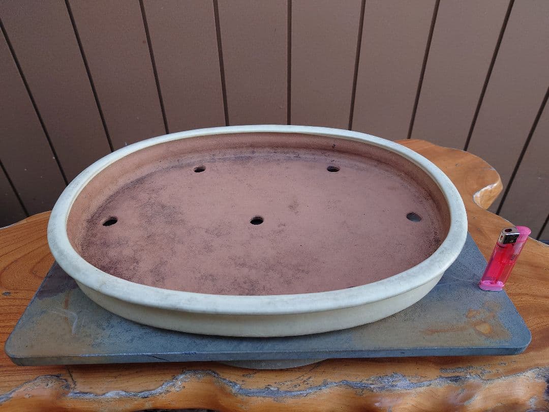 盆栽　鉢　山房　幅46.2cm