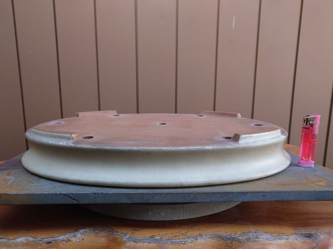 盆栽　鉢　山房　幅46.2cm