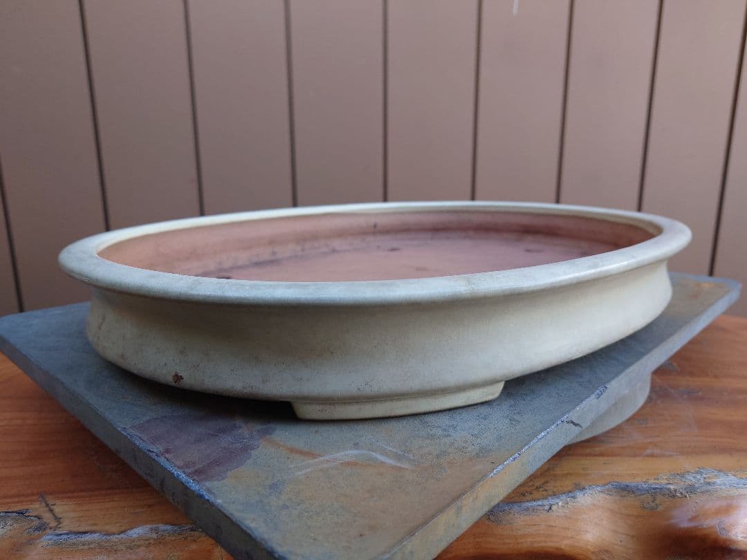 盆栽　鉢　山房　幅46.2cm