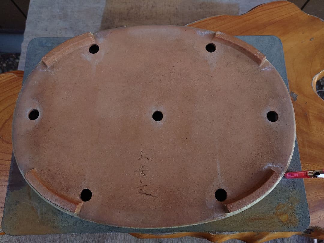 盆栽　鉢　山房　幅46.2cm