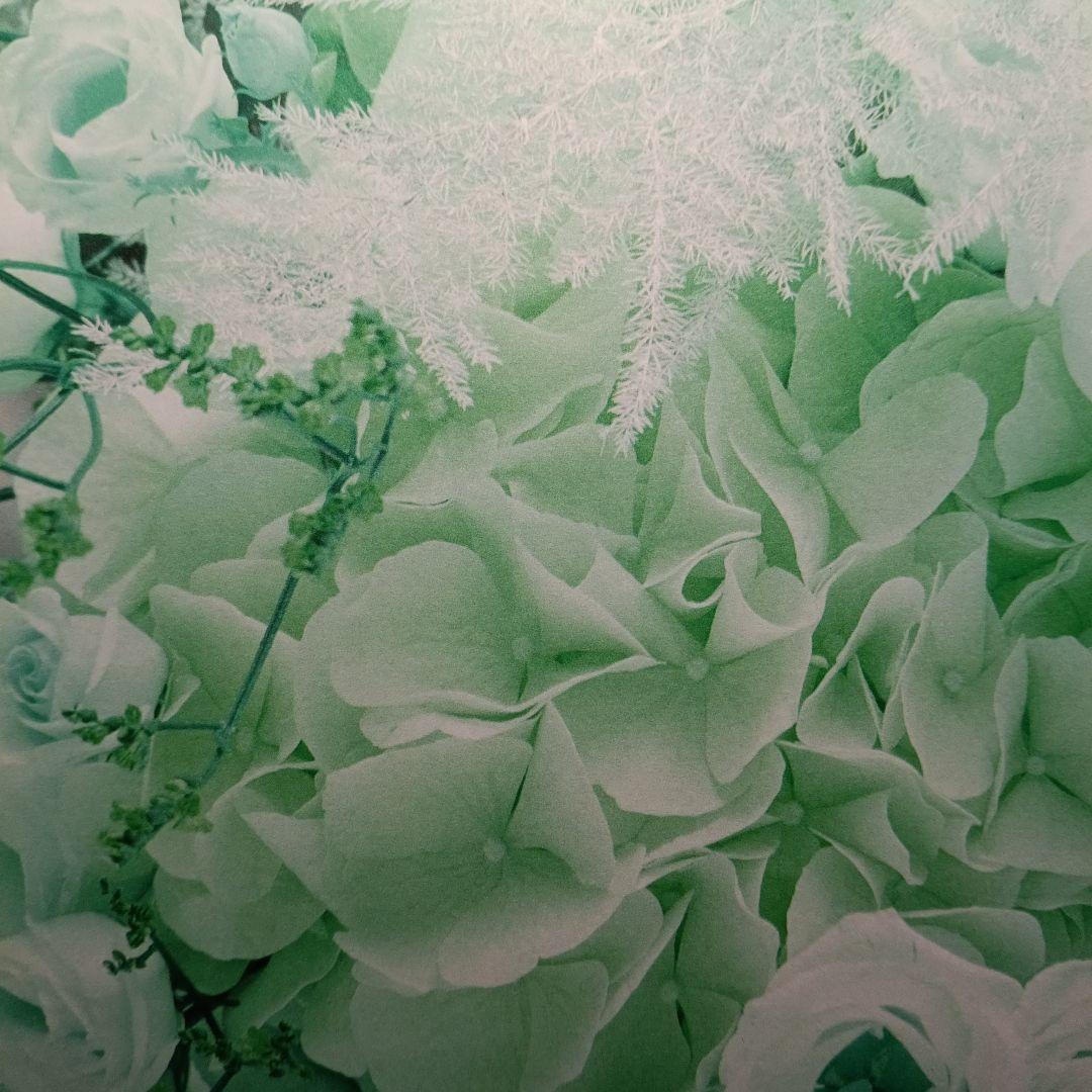 ◆ 手描きイラスト ◆ 【刀シリーズ】 蛍丸 刀剣乱舞 FA