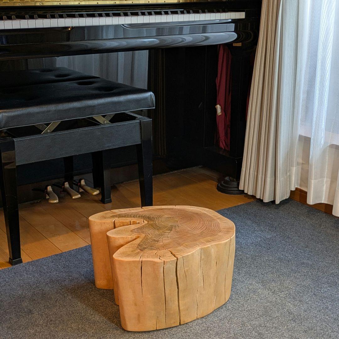 ななしさん 山桜 切り株 高さ約20㎝ 9000円