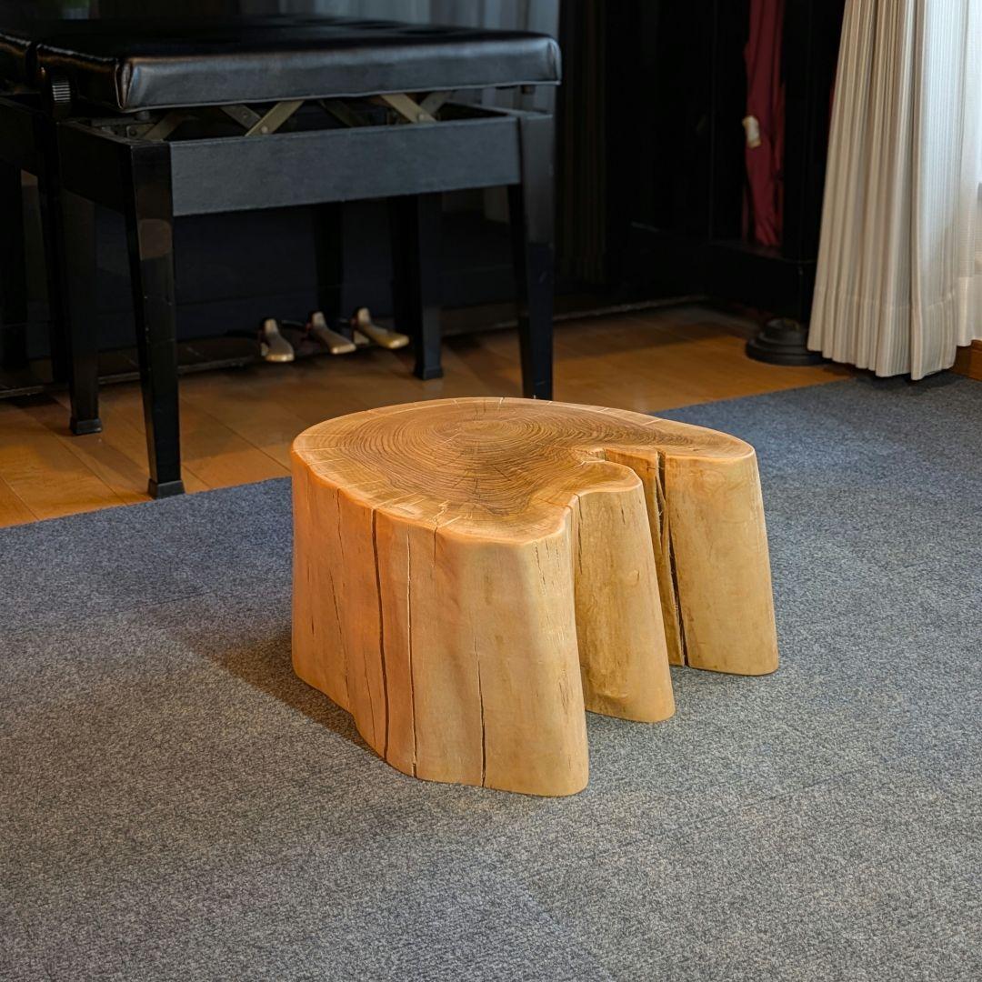 ななしさん 山桜 切り株 高さ約20㎝ 9000円