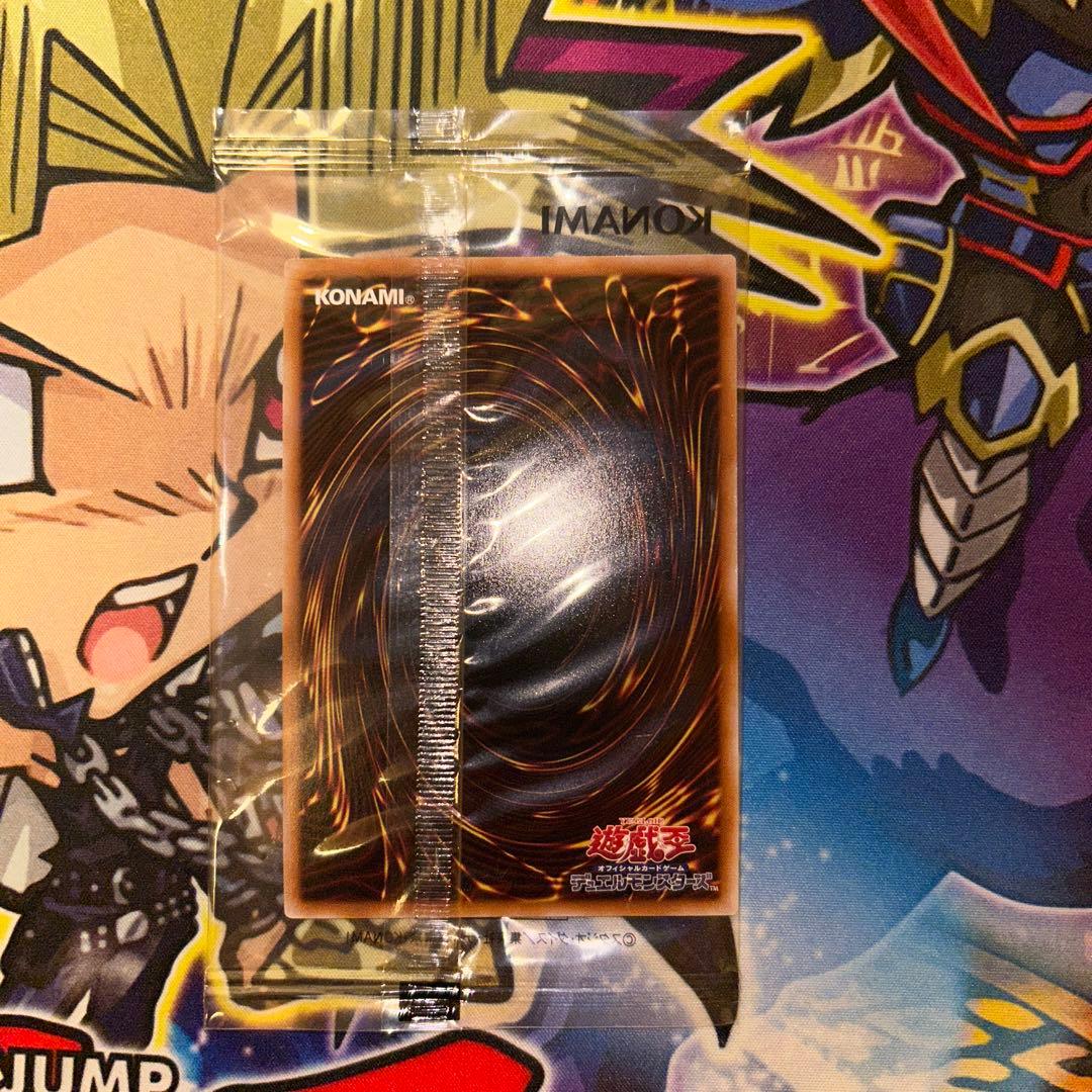 異次元の女戦士 プリシク