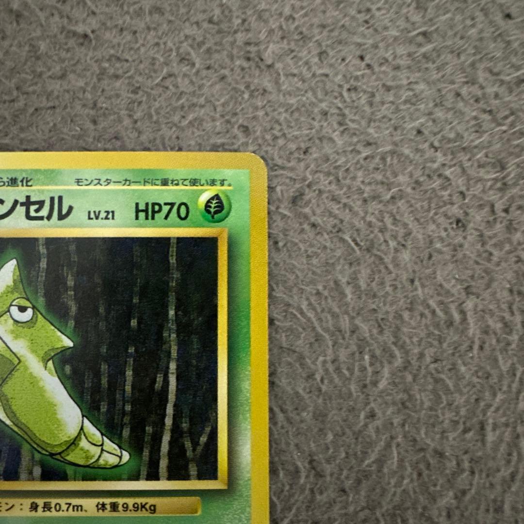 ポケモンカード 旧裏 初版 トランセル LV.21 HP70