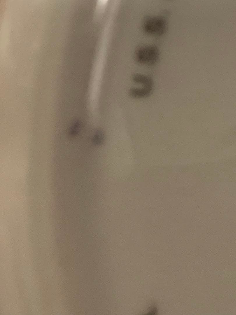 食器 Antique,Vista Alegre, Mottahedeh