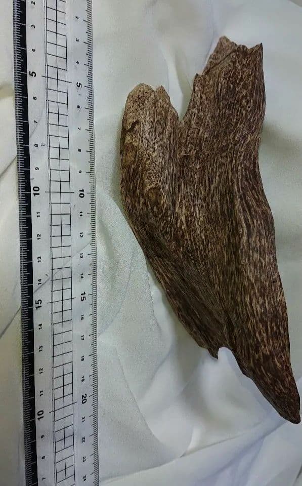 香木 沈香 伽羅 聞香◎品名上物ベトナムフエ産68g