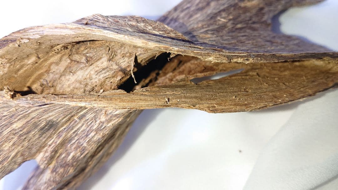 香木 沈香 伽羅 聞香◎品名上物ベトナムフエ産68g