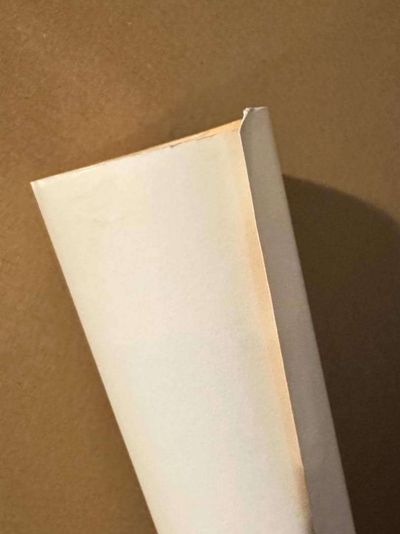 タワレコ NO MUSIC, NO LIFE ポスター The Birihday