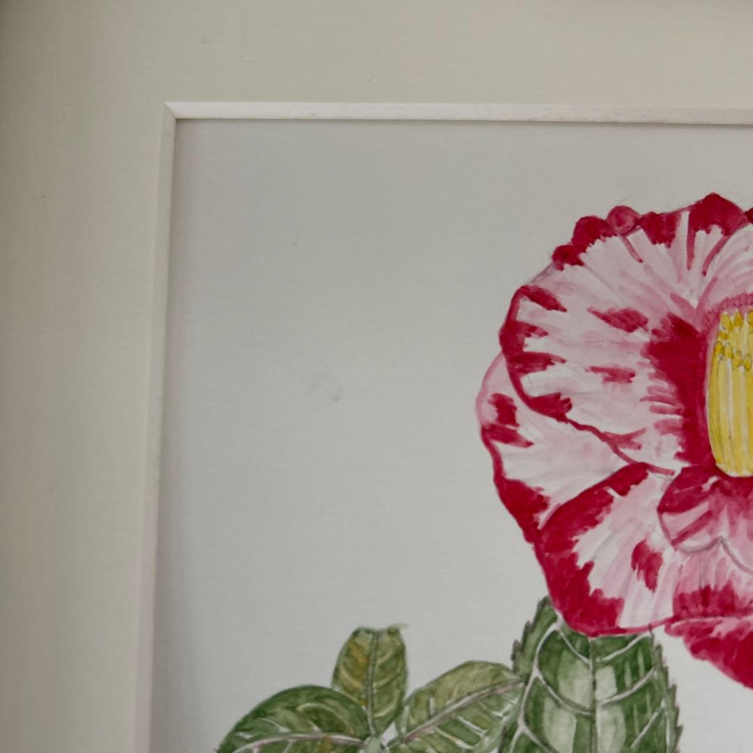 水彩画 椿 ツバキ 原画 ボタニカルアート 手書き 花 絵 アート