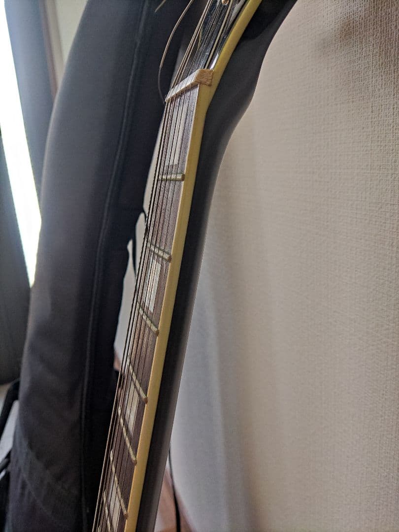 Grass Roots エレキギター