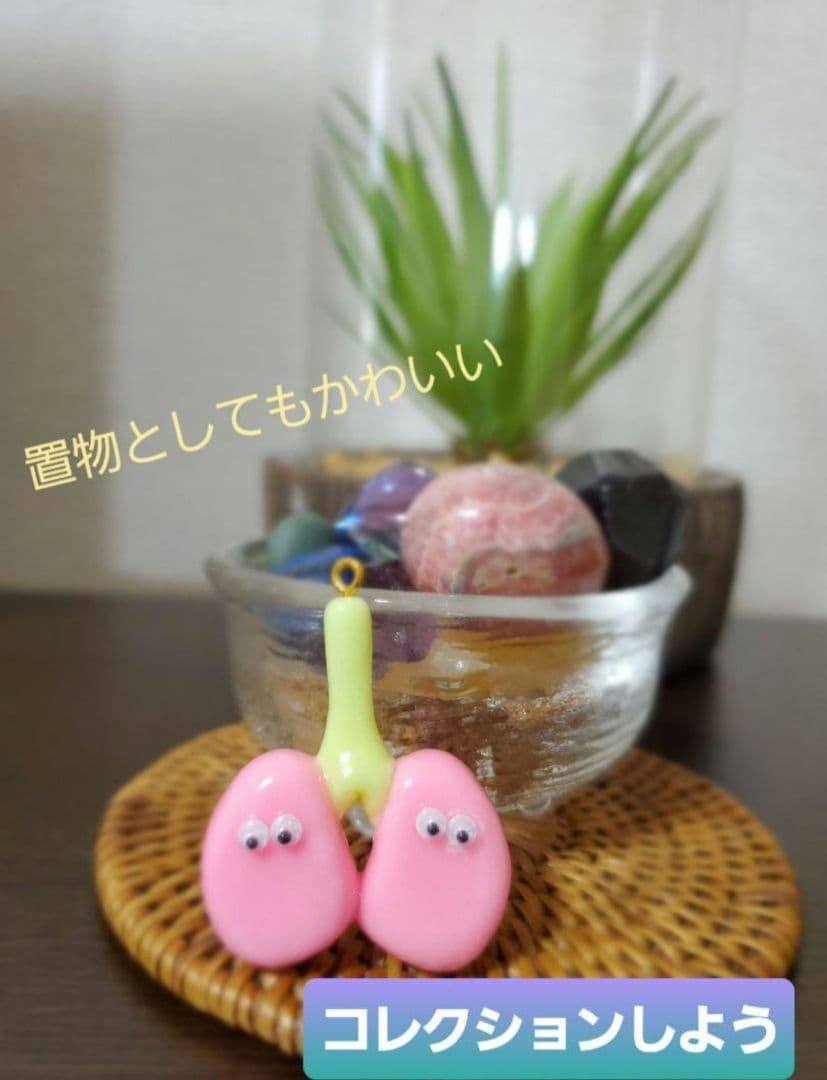 肺 手作り 臓器 キーホルダー ハンドメイド - メルカリ
