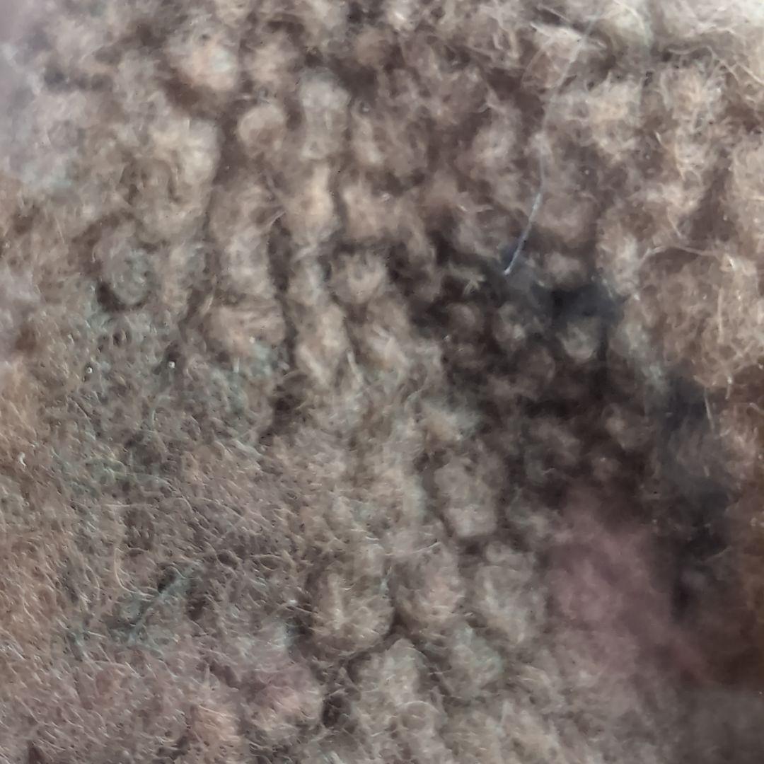 モーダエンカーサ　コーヒーテーブル　FLYING TABLE