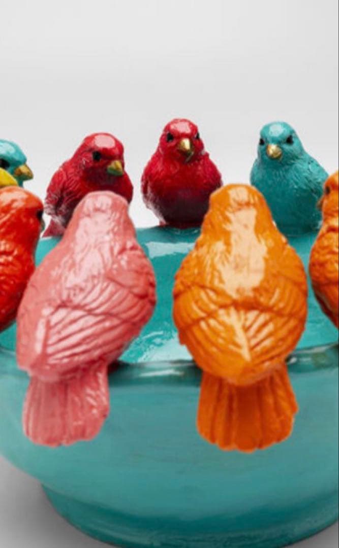カラフルな鳥の陶器ボウルKAREドイツ定価22770円