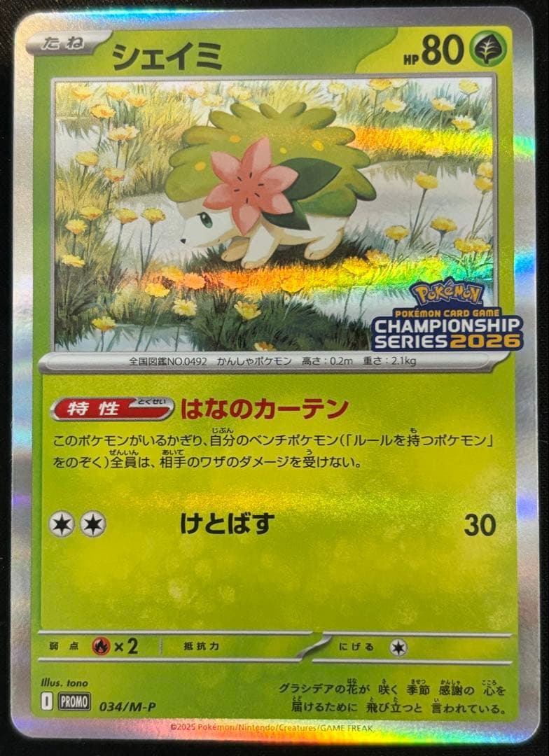 ロケット団のミュウツーex プロモ　シェイミ　プロモ　2026