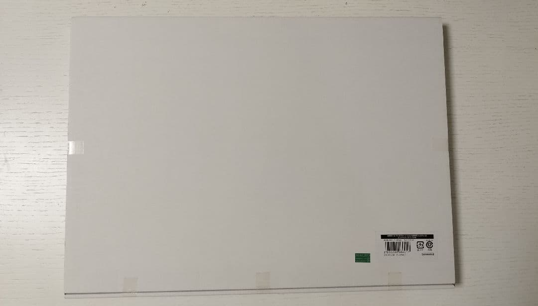 マクロス超時空フェスティバル　 ビッグアクリルアートパネル