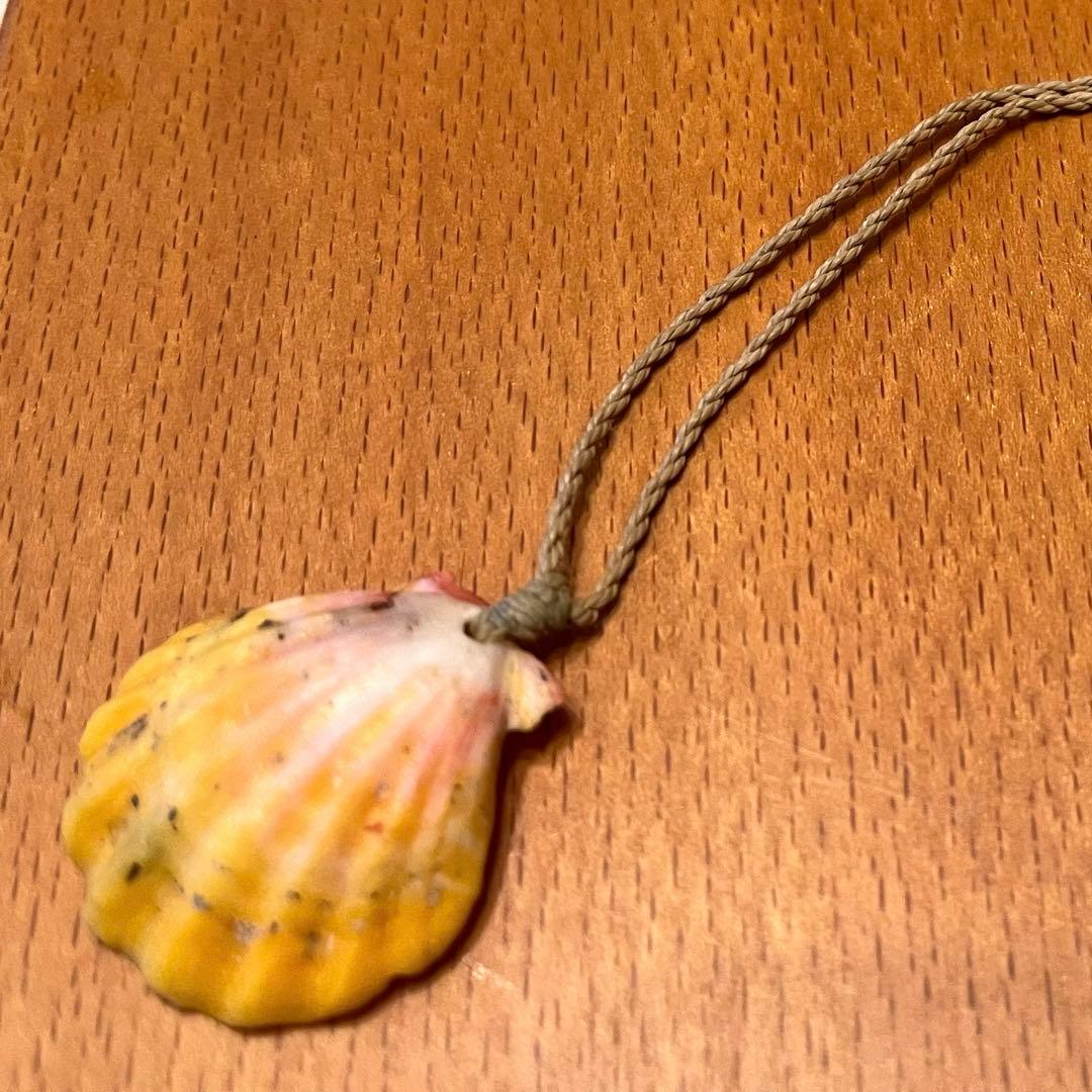 #サンライズシェル #ペンダント