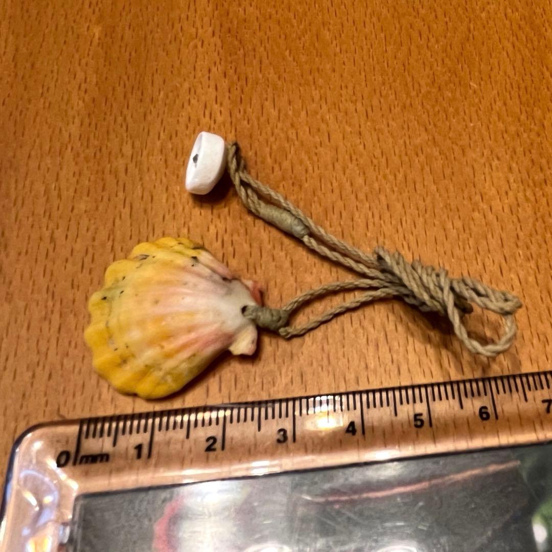 #サンライズシェル #ペンダント