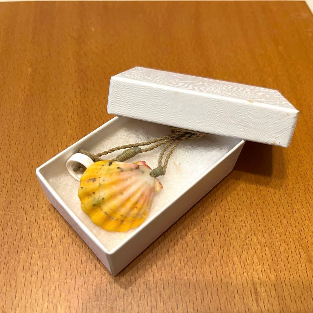 #サンライズシェル #ペンダント