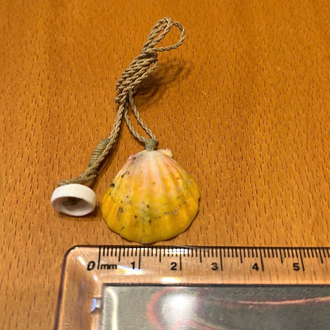 #サンライズシェル #ペンダント