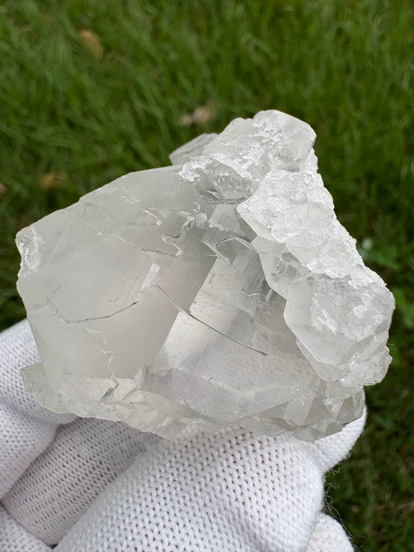 【匿名発送】パキスタン産グインデル