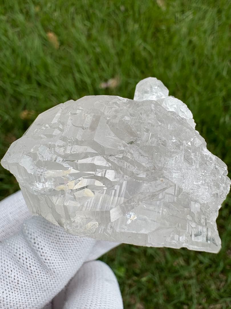 【匿名発送】パキスタン産グインデル