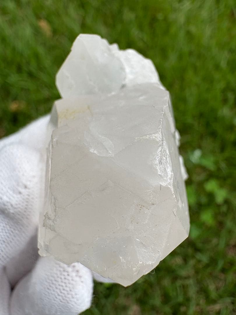 【匿名発送】パキスタン産グインデル